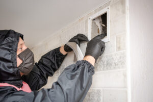 Duct Vent Cleaning Services Cost in Herald, Tennessee