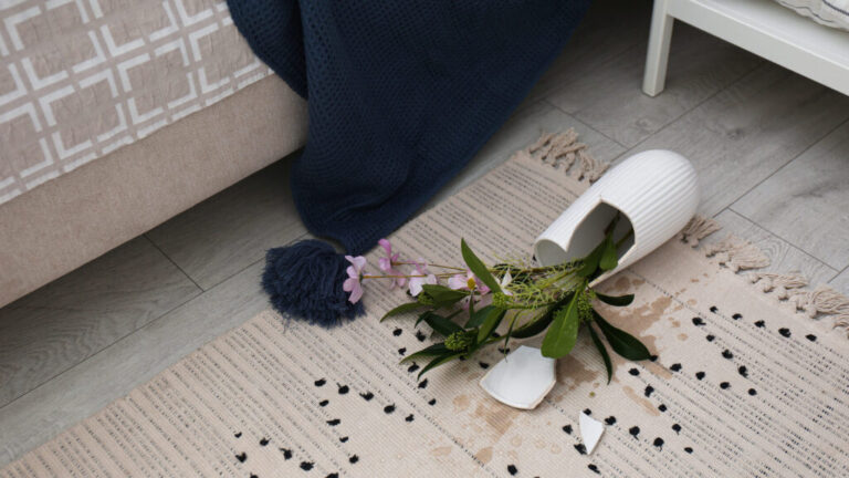 area rug cleaning near me